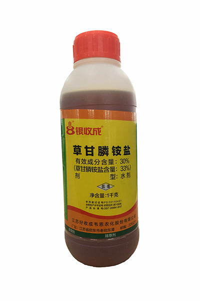  1kg銀收成